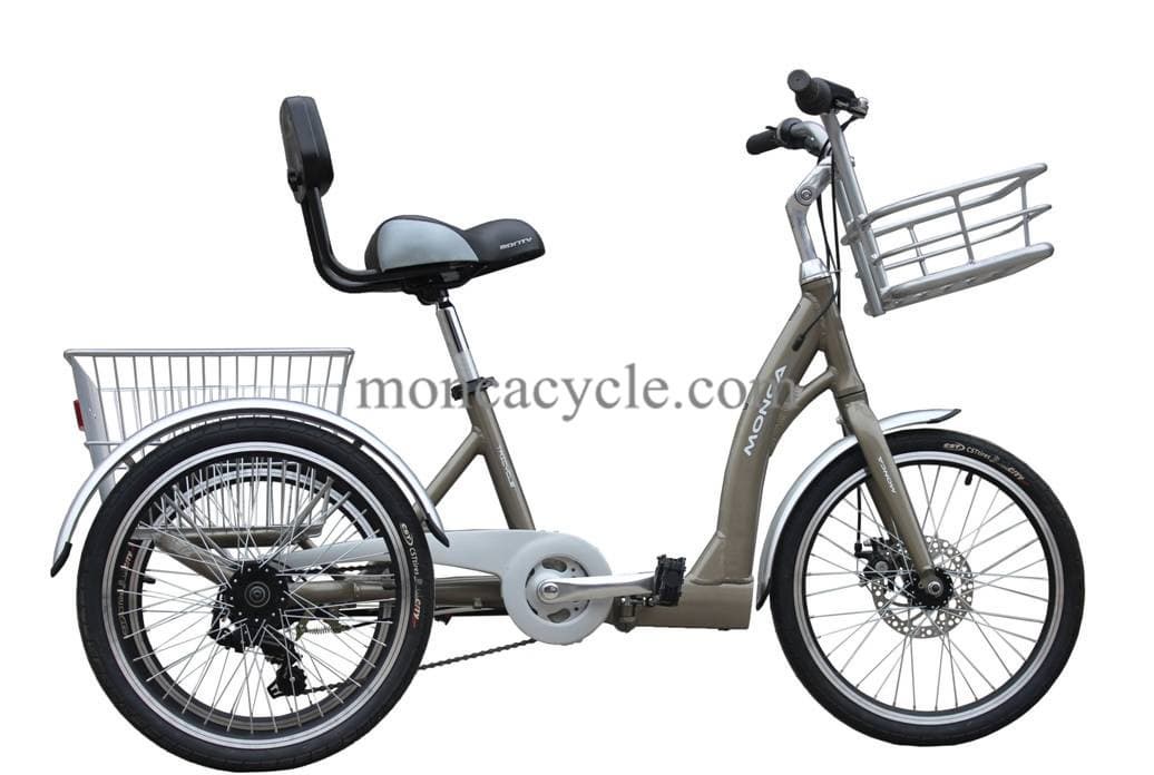 3 Wheel Bike with Motrorized Trike ET30
